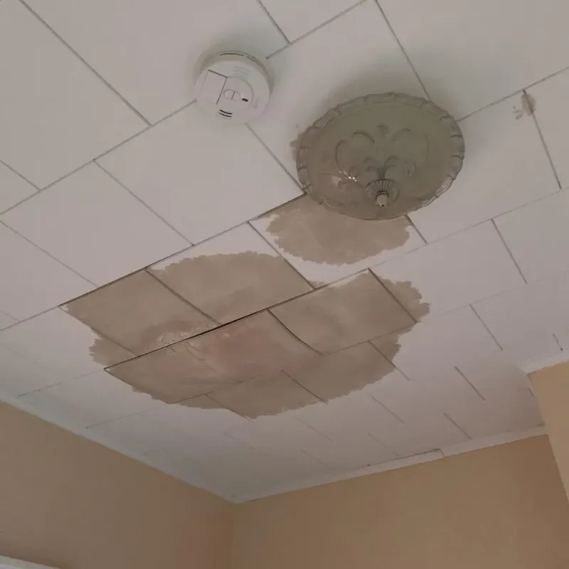 Ceiling Water Damage Repair in Chatsworth, IL