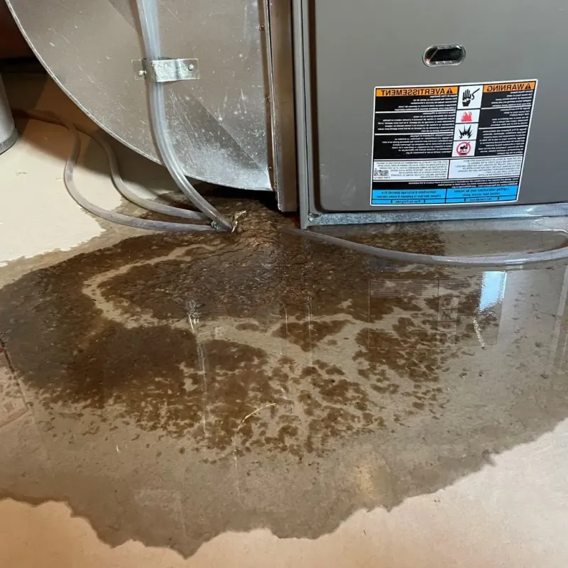 Pipe Burst and Leak Restoration in Chatsworth, IL