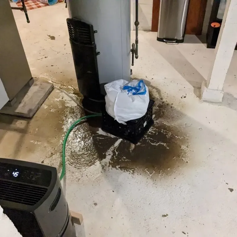 Sewage Backup Cleanup Service in Chatsworth, IL